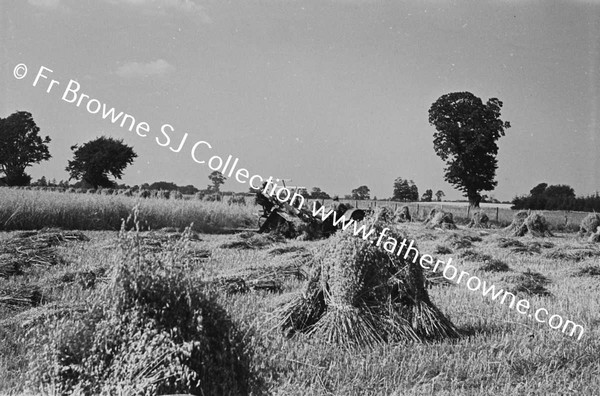 HARVESTING THE OAT CROP